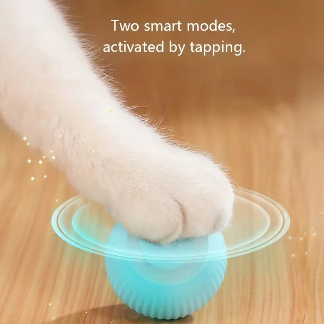 Glow Motion Cat Toy