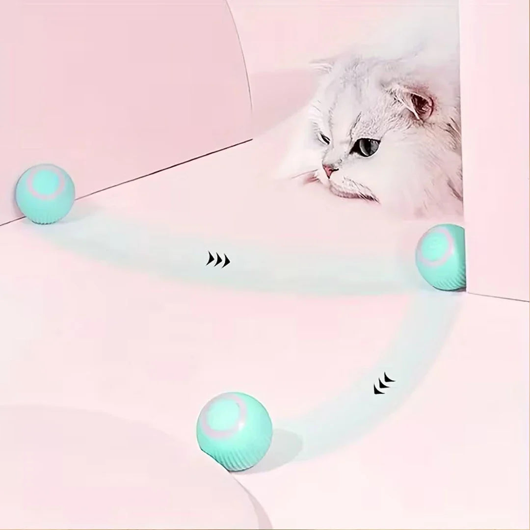 Glow Motion Cat Toy