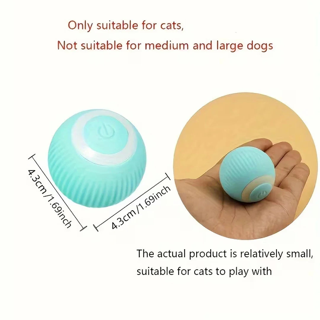 Glow Motion Cat Toy