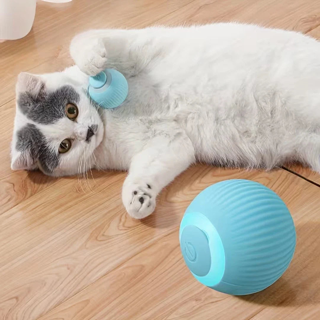Glow Motion Cat Toy